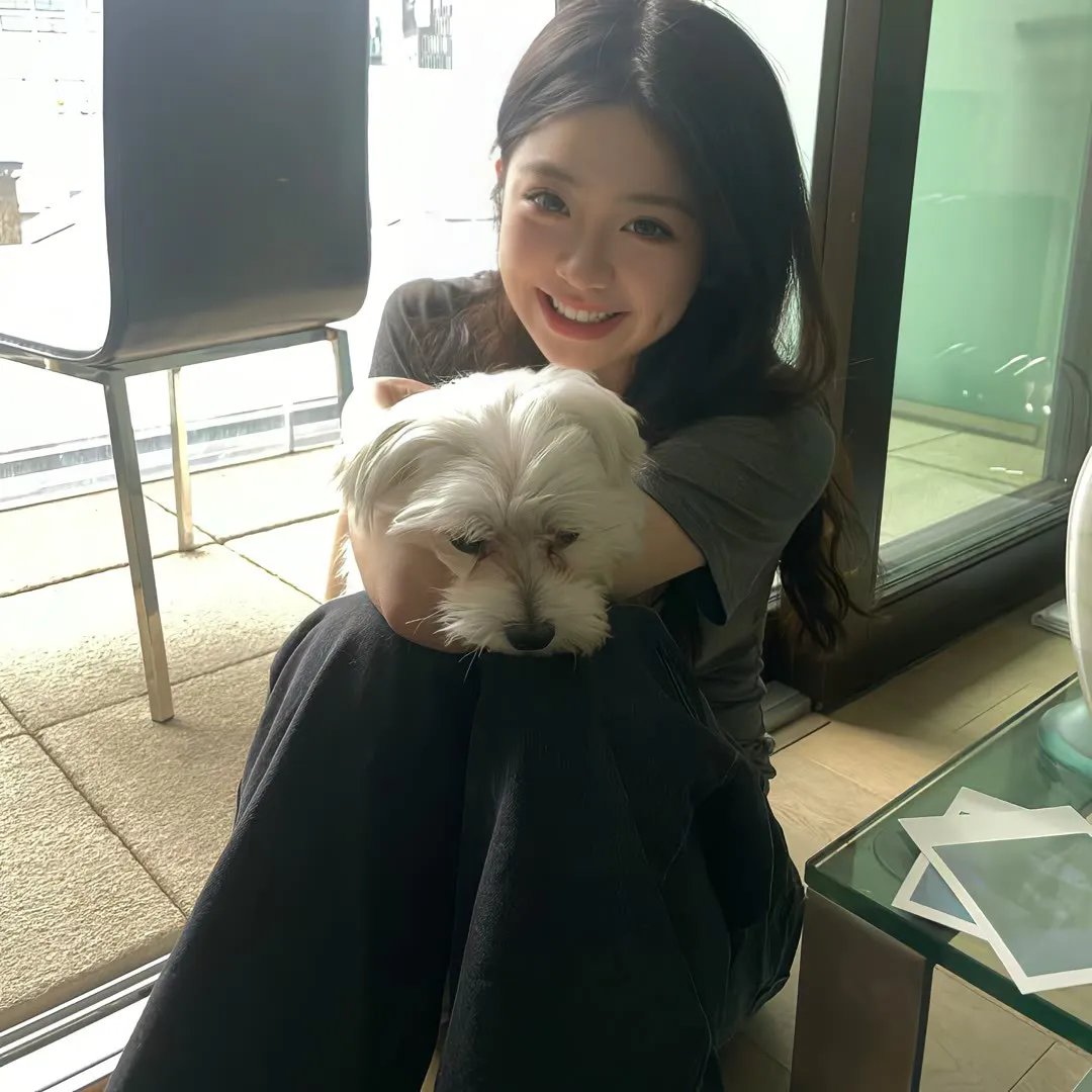 爱犬情深